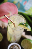 Foodservice Ginger Tea | Cold Brew Ginger Lime Tea