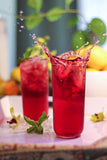 Foodservice Hibiscus Tea | Cold Brew Hibiscus Mint with Mamaki Tea